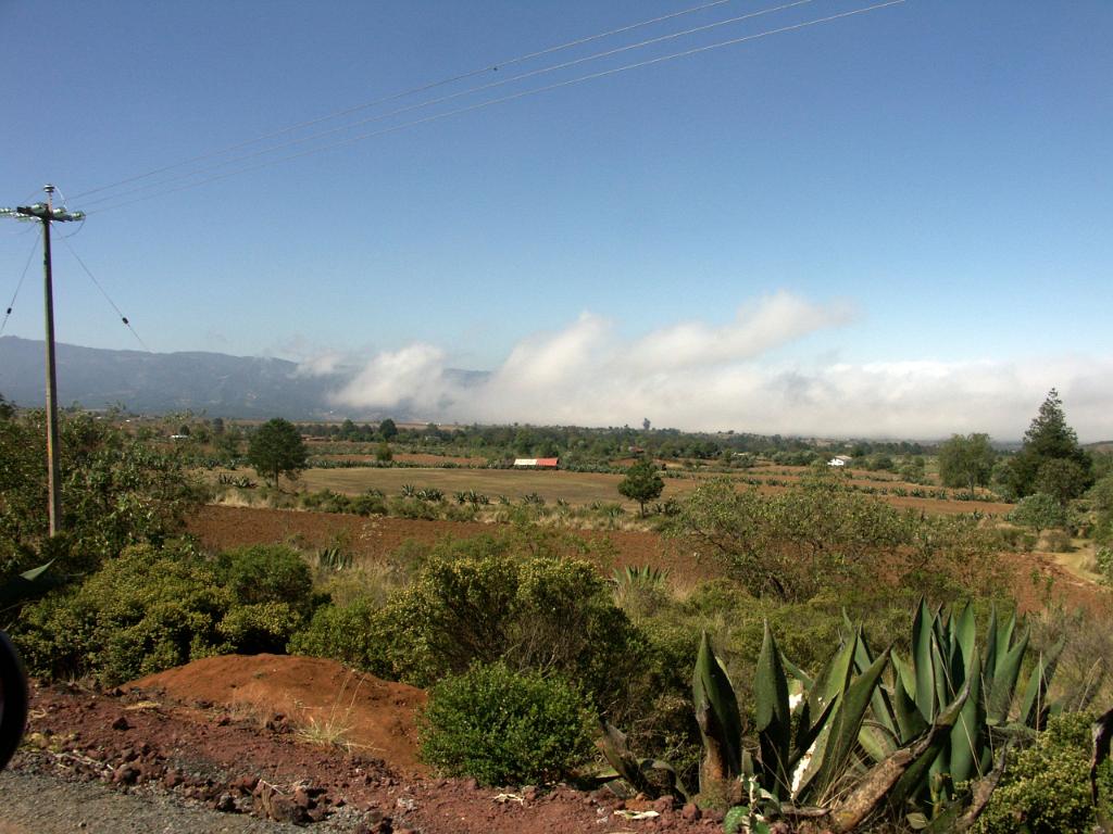 100302_Zacatec 018.jpg